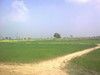 A beautiful scene of countryside from Sheikhupura